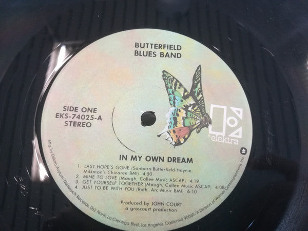 The Butterfield Blues Band ~ In My Own Dream (Vinyl) - Djungel & Jazz