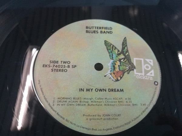 The Butterfield Blues Band ~ In My Own Dream (Vinyl) - Djungel & Jazz