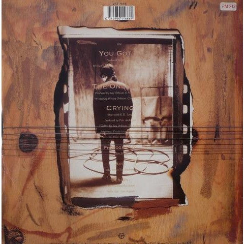 Roy Orbison ~ You Got It (Vinyl) - Djungel & Jazz