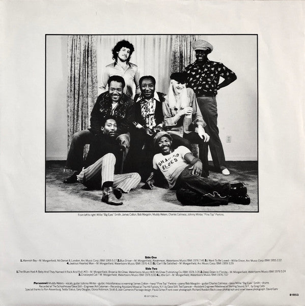 Muddy Waters ~ Hard Again (Vinyl) - Djungel & Jazz