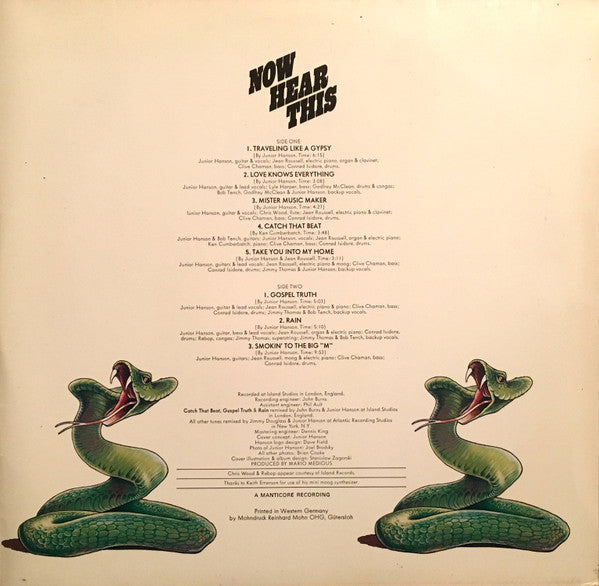 Hanson ~ Now Hear This (Vinyl) - Djungel & Jazz