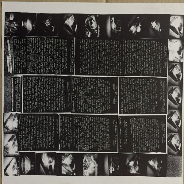 Giant Sand ~ The Love Songs (Vinyl) - Djungel & Jazz