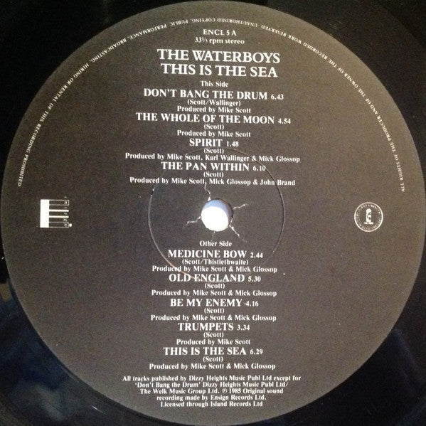 The Waterboys : This Is The Sea (LP, Album)