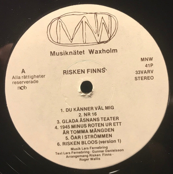 Risken Finns ~ Risken Finns (Vinyl) - Djungel & Jazz
