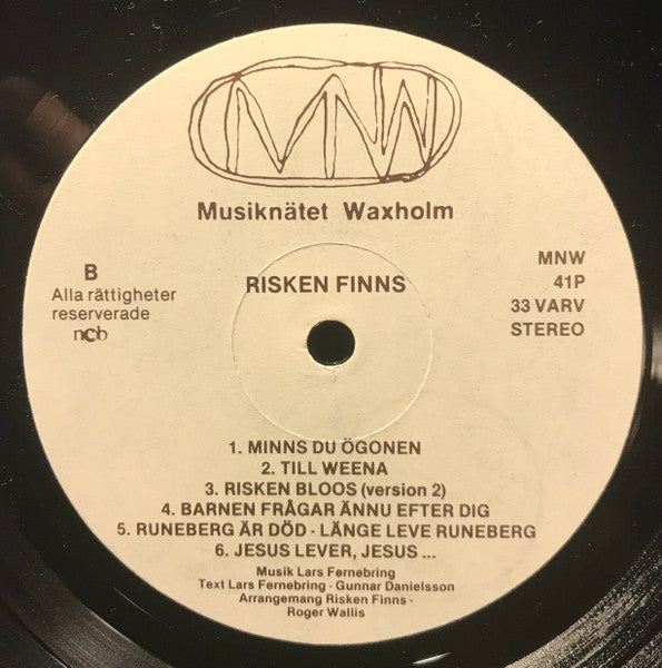 Risken Finns ~ Risken Finns (Vinyl) - Djungel & Jazz