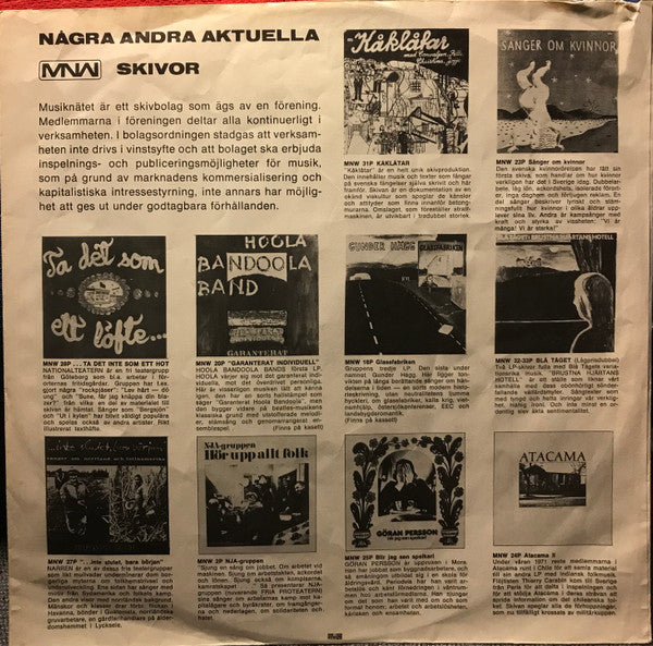 Risken Finns ~ Risken Finns (Vinyl) - Djungel & Jazz