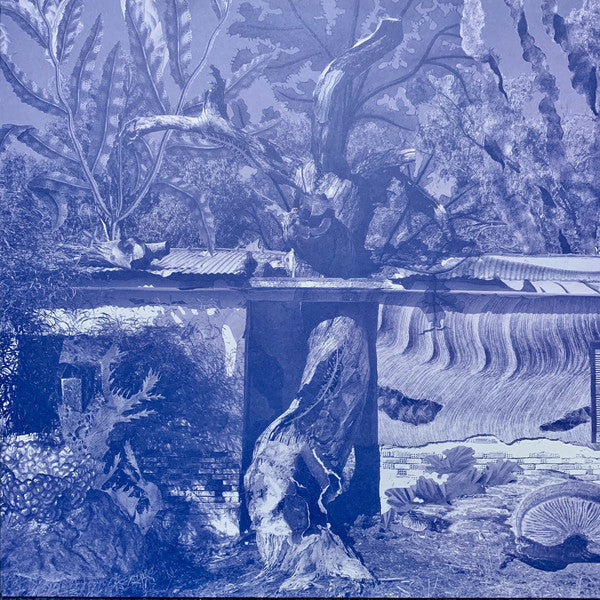 Kooba Tercu ~ Proto Tekno (Vinyl) - Djungel & Jazz