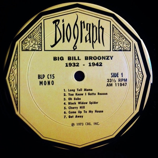 Big Bill Broonzy ~ 1930's Blues (Vinyl) - Djungel & Jazz