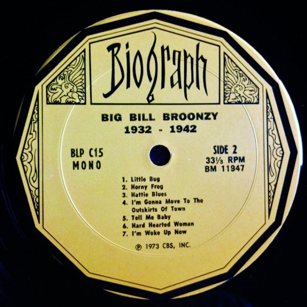 Big Bill Broonzy ~ 1930's Blues (Vinyl) - Djungel & Jazz
