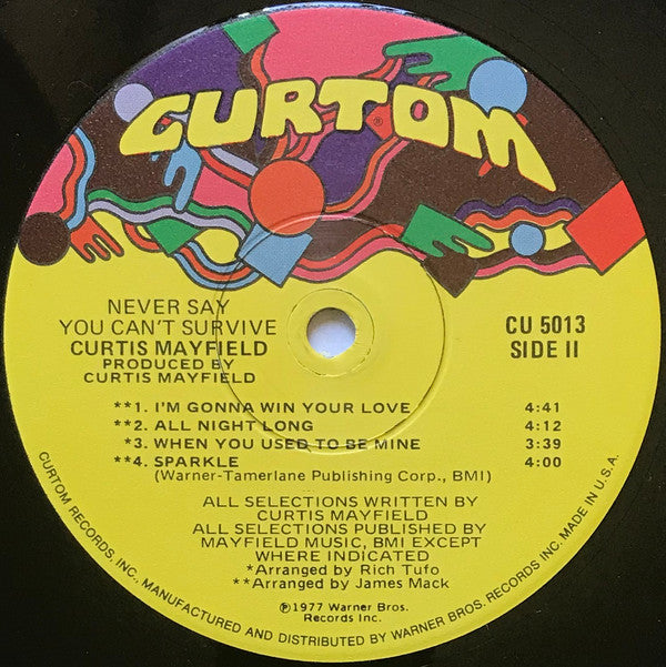Curtis Mayfield ~ Never Say You Can't Survive (Vinyl) - Djungel & Jazz
