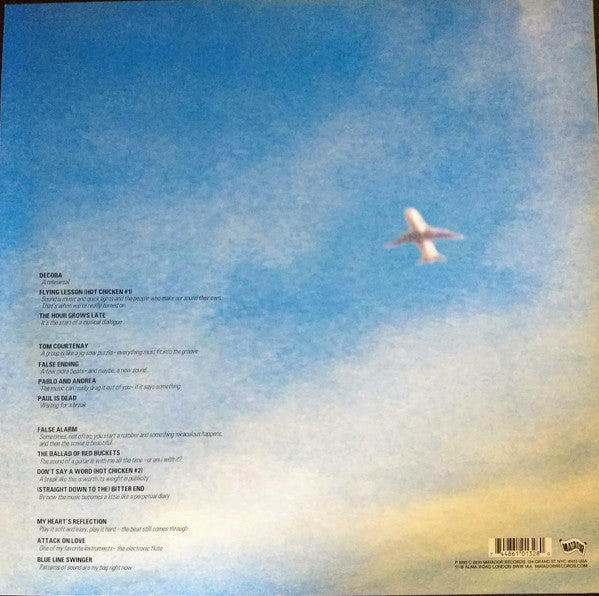 Yo La Tengo ~ Electr-O-Pura (Vinyl) - Djungel & Jazz
