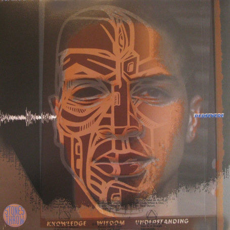 Persevere ~ Oblivion / Small Time In This / Armed & Dangerous (Vinyl) - Djungel & Jazz
