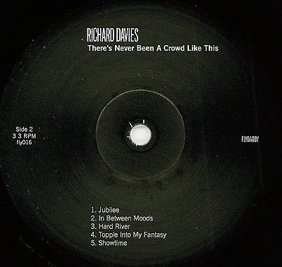 Richard Davies ~ There's Never Been A Crowd Like This (Vinyl) - Djungel & Jazz