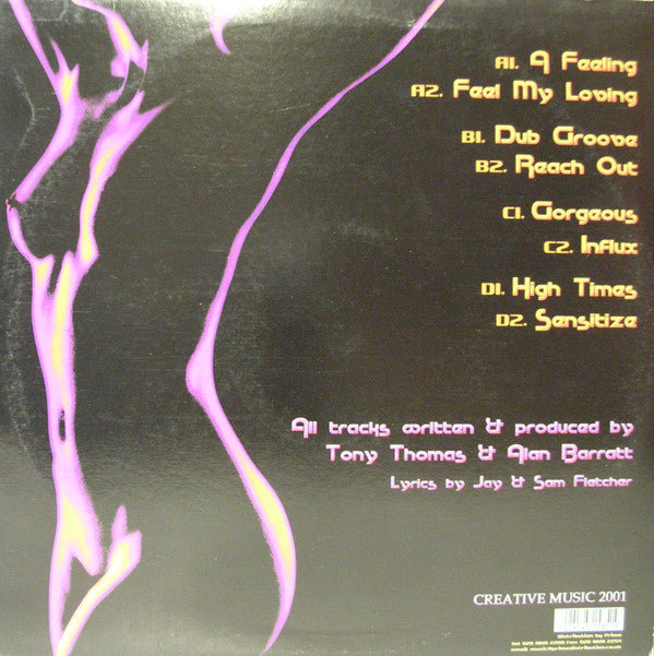 The Producers ~ Positive Influence (Vinyl) - Djungel & Jazz