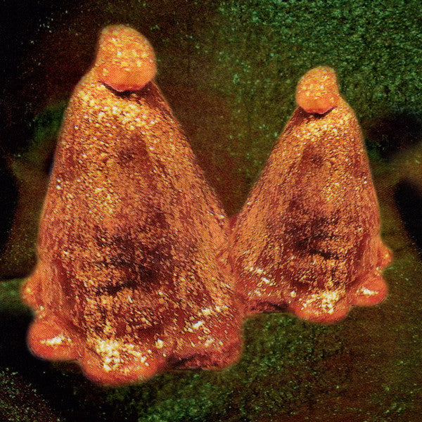 Black To Comm ~ Oocyte Oil & Stolen Androgens (Vinyl) - Djungel & Jazz