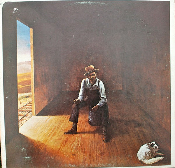 Don McLean ~ Homeless Brother (Vinyl) - Djungel & Jazz