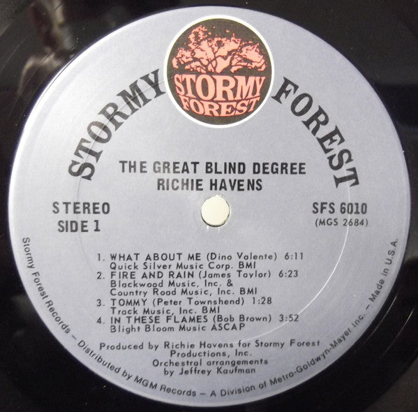 Richie Havens ~ The Great Blind Degree (Vinyl) - Djungel & Jazz