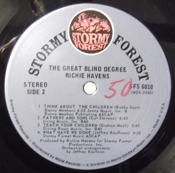 Richie Havens ~ The Great Blind Degree (Vinyl) - Djungel & Jazz