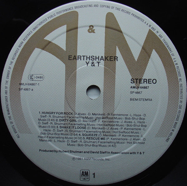 Y & T ~ Earthshaker (Vinyl) - Djungel & Jazz