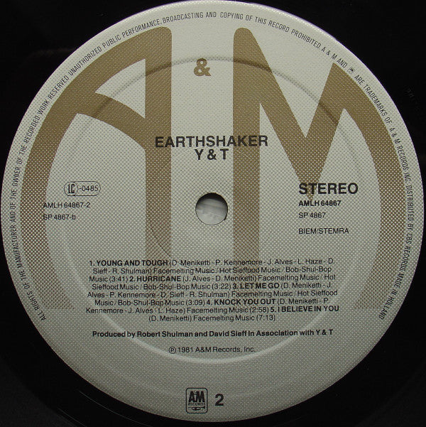 Y & T ~ Earthshaker (Vinyl) - Djungel & Jazz