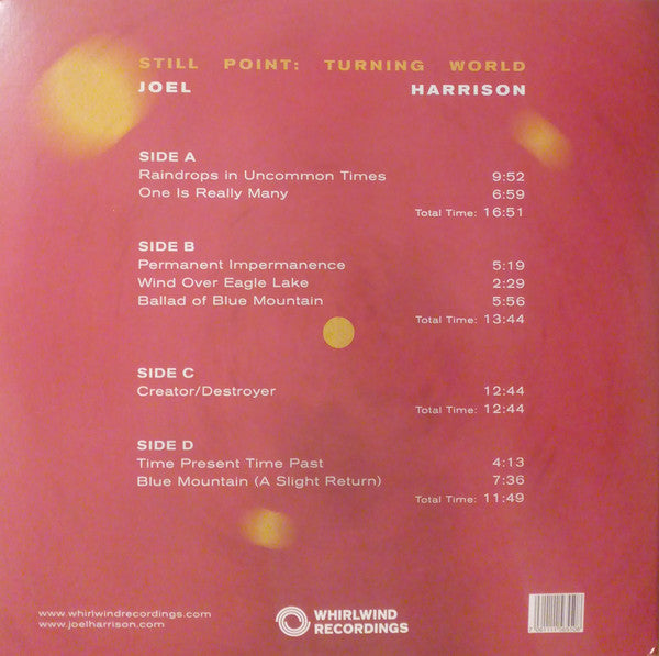Joel Harrison  ~ Still Point: Turning World (Vinyl) - Djungel & Jazz