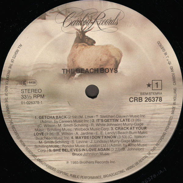 The Beach Boys ~ The Beach Boys (Vinyl) - Djungel & Jazz