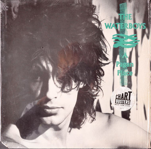 The Waterboys ~ A Pagan Place (Vinyl) - Djungel & Jazz