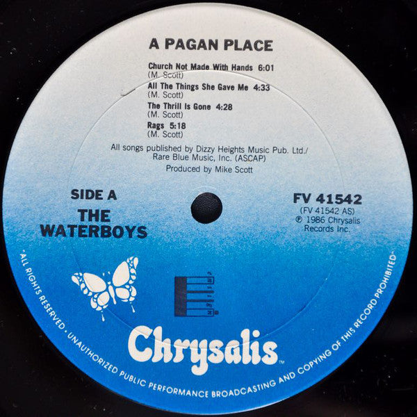 The Waterboys ~ A Pagan Place (Vinyl) - Djungel & Jazz