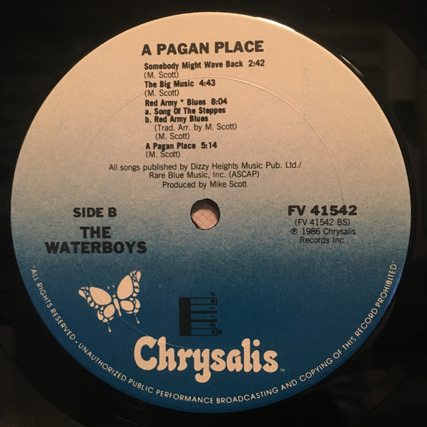 The Waterboys ~ A Pagan Place (Vinyl) - Djungel & Jazz