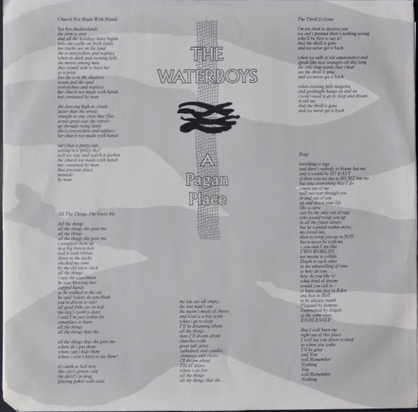 The Waterboys ~ A Pagan Place (Vinyl) - Djungel & Jazz