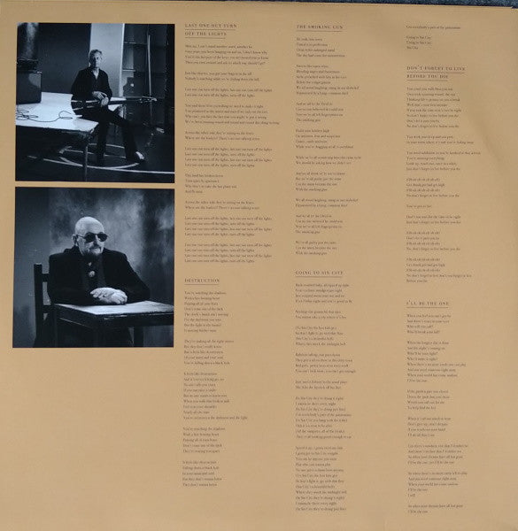 Thunder ~ All The Right Noises (Vinyl) - Djungel & Jazz