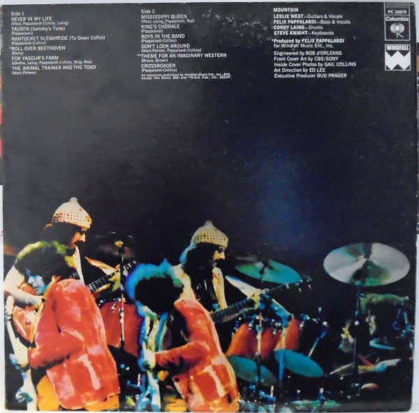 Mountain : The Best Of Mountain (LP, Comp, RE)