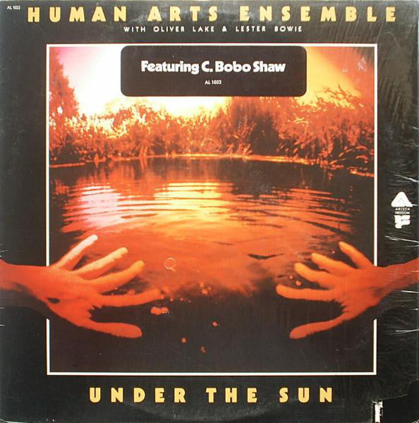 Human Arts Ensemble With Oliver Lake & Lester Bowie ~ Under The Sun (Vinyl) - Djungel & Jazz