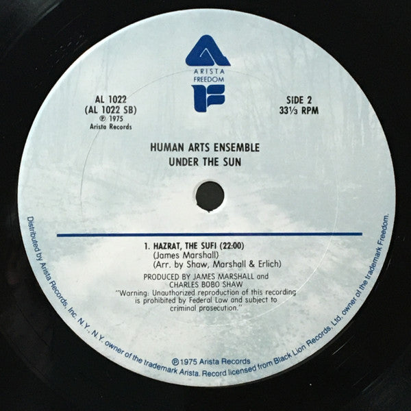Human Arts Ensemble With Oliver Lake & Lester Bowie ~ Under The Sun (Vinyl) - Djungel & Jazz