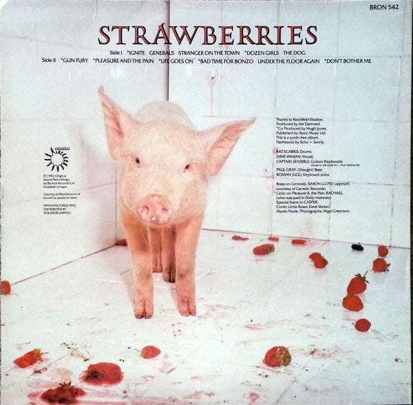 The Damned ~ Strawberries (Vinyl) - Djungel & Jazz