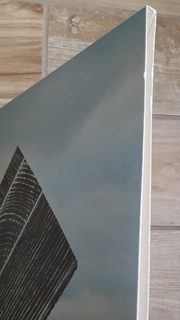 Fink ~ Perfect Darkness (Vinyl) - Djungel & Jazz