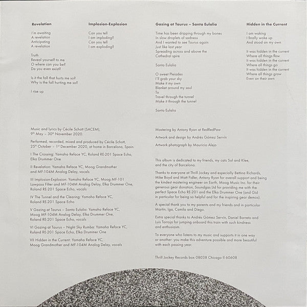 Colleen ~ The Tunnel And The Clearing (Vinyl) - Djungel & Jazz