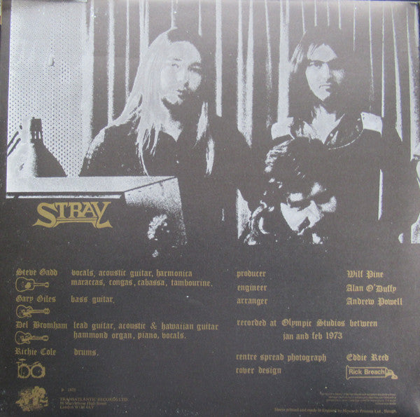 Stray ~ Mudanzas (Vinyl) - Djungel & Jazz