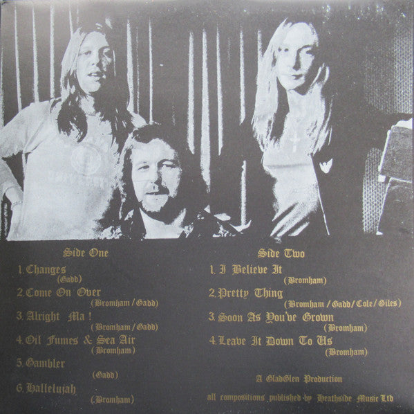 Stray ~ Mudanzas (Vinyl) - Djungel & Jazz