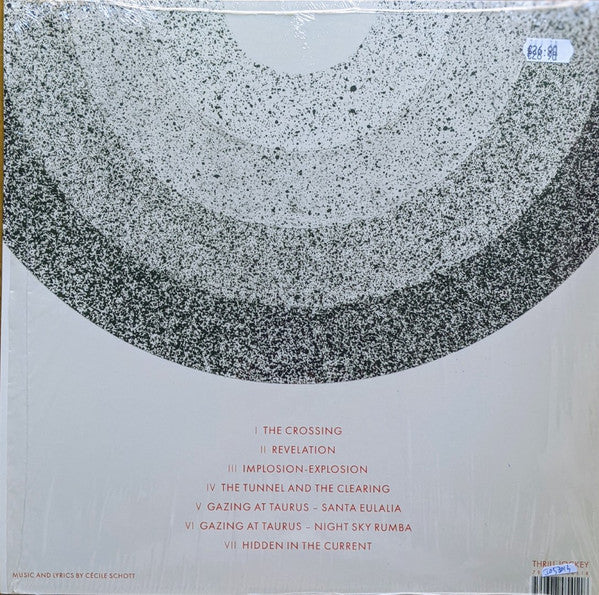 Colleen ~ The Tunnel And The Clearing (Vinyl) - Djungel & Jazz