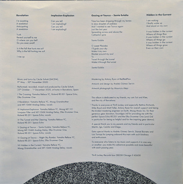 Colleen ~ The Tunnel And The Clearing (Vinyl) - Djungel & Jazz