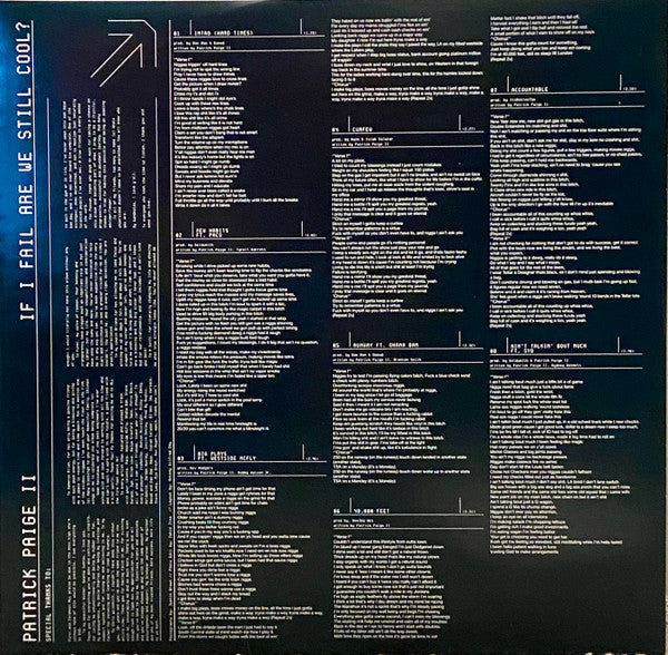 Patrick Paige II ~ If I Fail Are We Still Cool? (Vinyl) - Djungel & Jazz