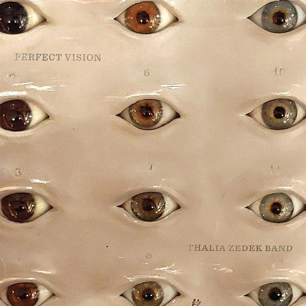 Thalia Zedek Band ~ Perfect Vision (Vinyl) - Djungel & Jazz