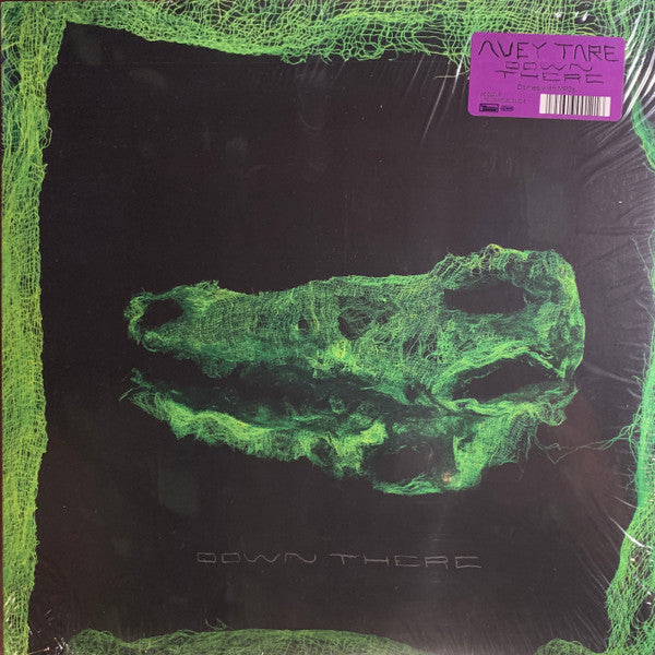 Avey Tare ~ Down There (Vinyl) - Djungel & Jazz
