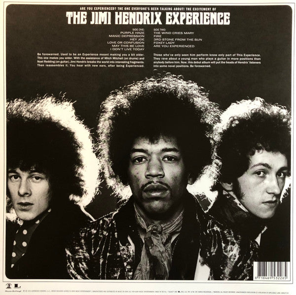 The Jimi Hendrix Experience ~ Are You Experienced (Vinyl) - Djungel & Jazz