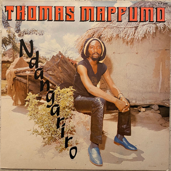 Thomas Mapfumo And The Blacks Unlimited ~ Ndangariro (Vinyl) - Djungel & Jazz