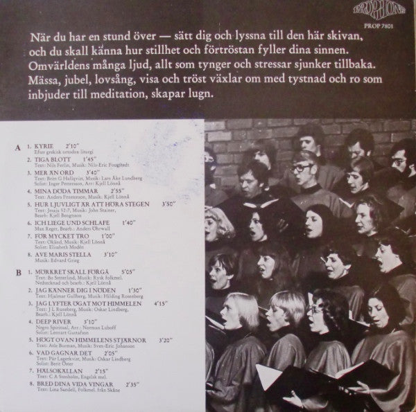 Sundsvalls Kammarkör ~ Tystnad/Tankar/Toner - Till Dig Som Vill Ha Stillhet, Som Vill Lyssna, Mediter, Vara I Fred... (Vinyl) - Djungel & Jazz