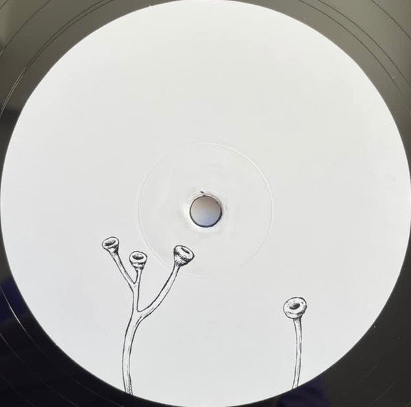 Richard Dawson & Circle ~ Henki (Vinyl) - Djungel & Jazz