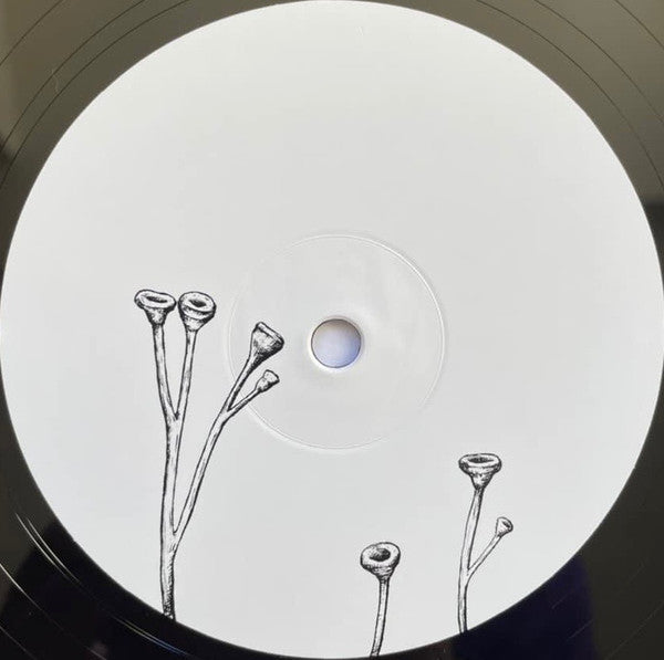 Richard Dawson & Circle ~ Henki (Vinyl) - Djungel & Jazz