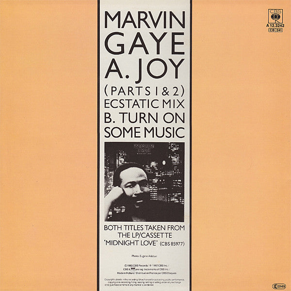 Marvin Gaye : Joy (Parts 1 & 2) Ecstatic Mix / Turn On Some Music (12", Maxi)